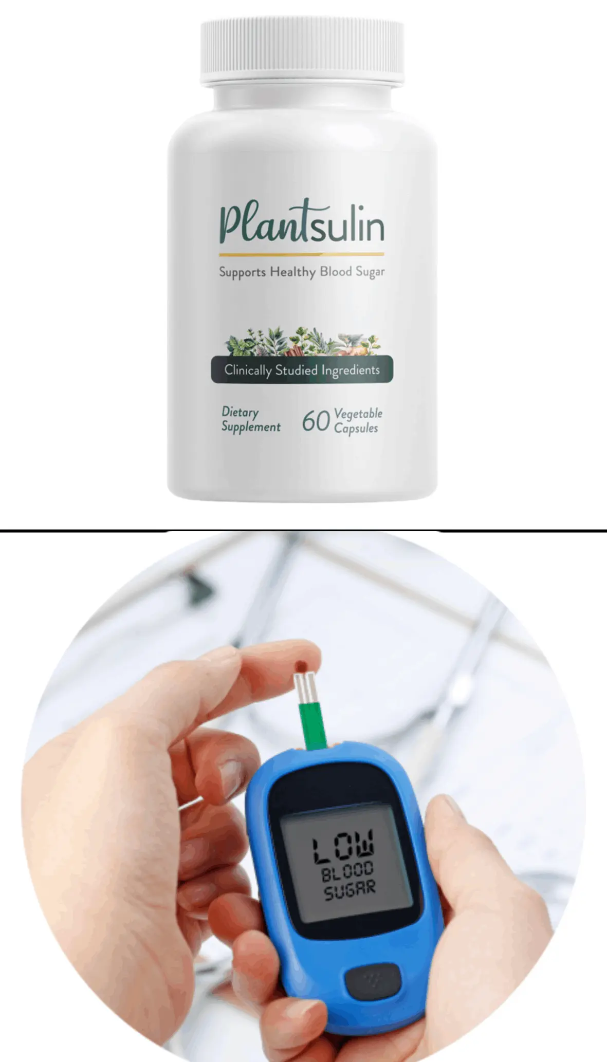 plantsulin supplement